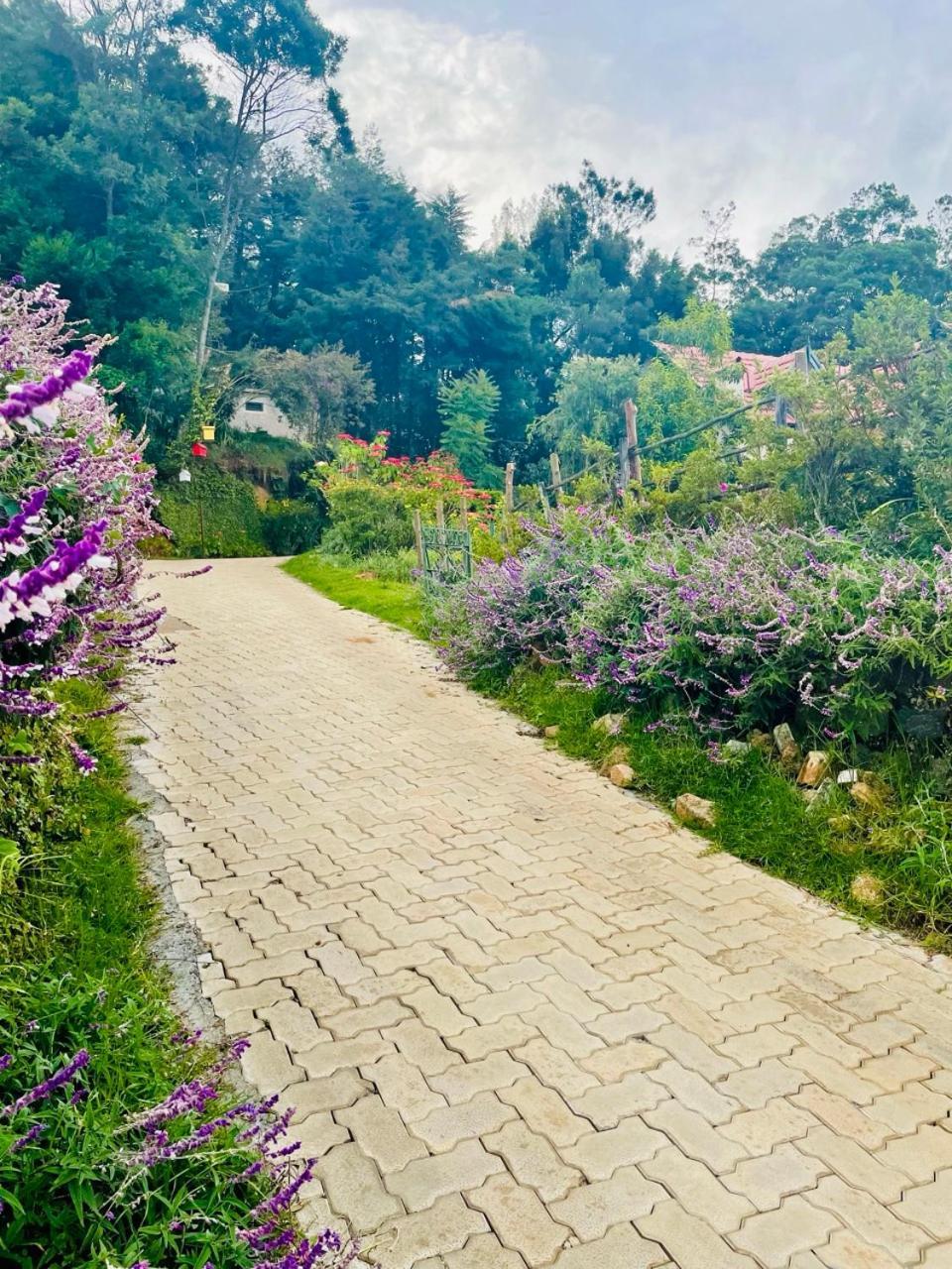 Stumpfields Bed & Breakfast Ooty Exterior foto